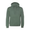 Sweat-shirt à capuche "SASSO" 100% coton bio, GOTS et VEGAN, vert unie