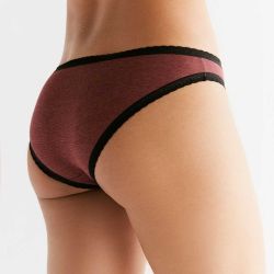 Culotte coupe classique avec dentelle - 95% coton bio - GOTS
