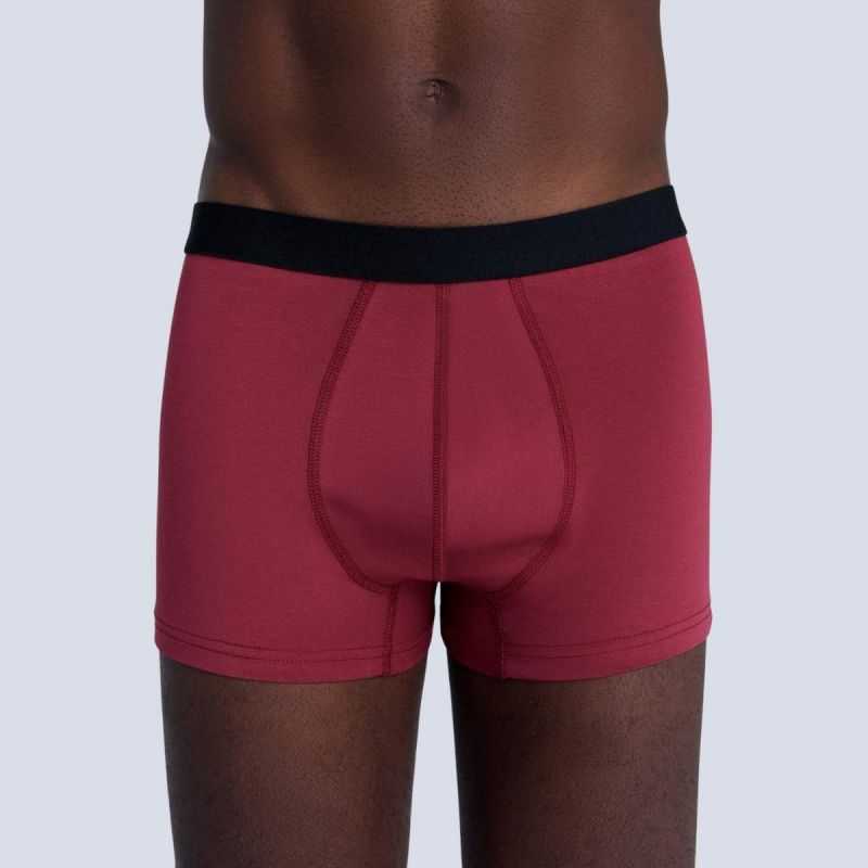 Boxer "TRUNK" - 95% coton bio - GOTS