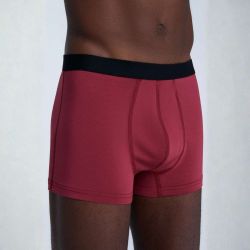 Boxer "TRUNK" - 95% coton bio - GOTS