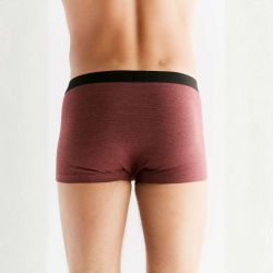 Boxer "TRUNK" - 95% coton bio - GOTS