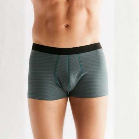 Boxer "TRUNK" - 95% coton bio - GOTS