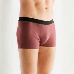 Boxer "TRUNK" - 95% coton bio - GOTS