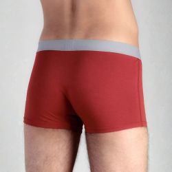 Boxer "TRUNK" - 95% coton bio - GOTS