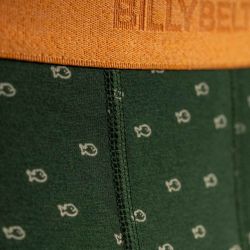 Boxer coton bio BILLYBELT, Poisson vert