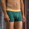 Boxer "BANANA LEAF" - 95% Coton bio - GOTS