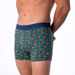 Boxer "KINAI" motif ours brun - 95% Coton bio - GOTS