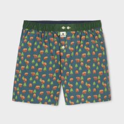 Caleçon "BROWN BEAR" motif ours brun - 100% Coton biologique - GOTS