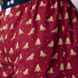 Caleçon "WALRUS" motif morse - 100% Coton biologique - GOTS